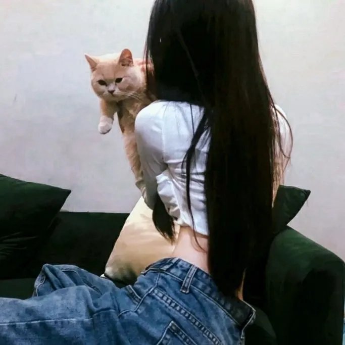 骑士杰克